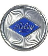 Логотип Riley