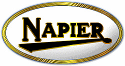 Логотип Napier